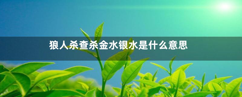 狼人杀查杀金水银水是什么意思
