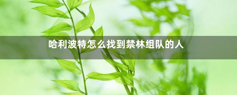 哈利波特怎么找到禁林组队的人