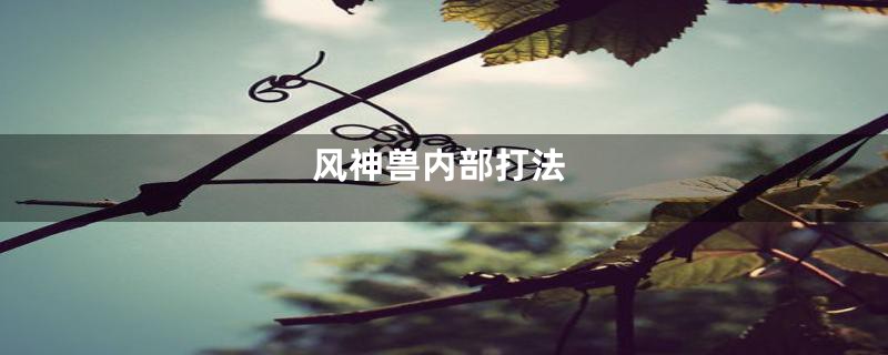 风神兽内部打法