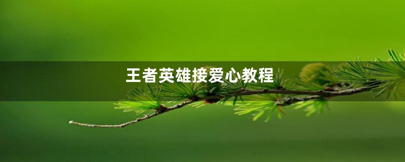 王者英雄接爱心教程