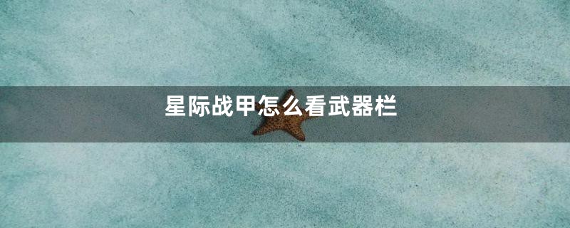 星际战甲怎么看武器栏