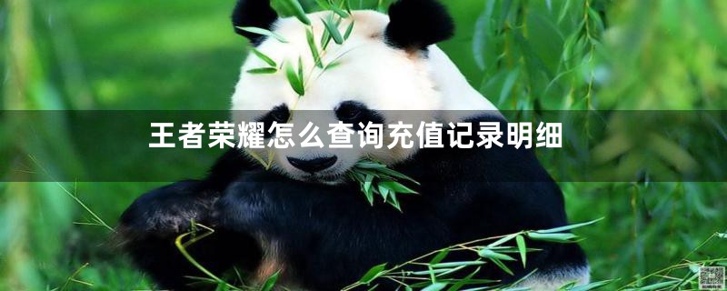 王者荣耀怎么查询充值记录明细