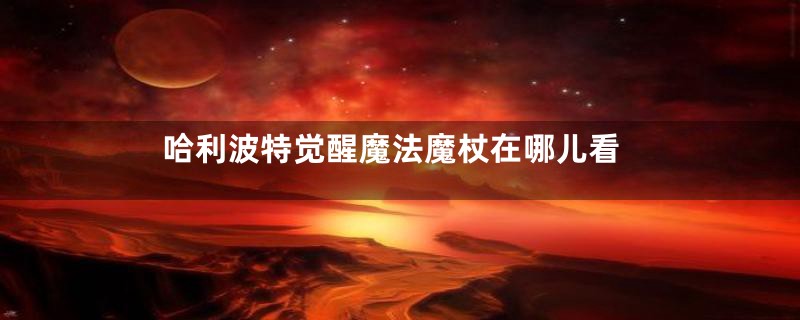 哈利波特觉醒魔法魔杖在哪儿看