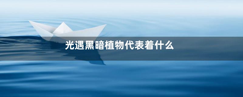 光遇黑暗植物代表着什么
