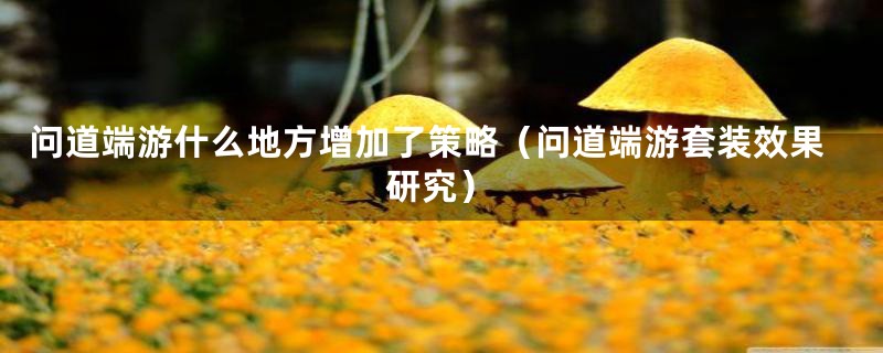 问道端游什么地方增加了策略(问道端游套装效果研究)