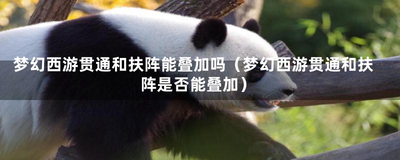 梦幻西游贯通和扶阵能叠加吗（梦幻西游贯通和扶阵是否能叠加）