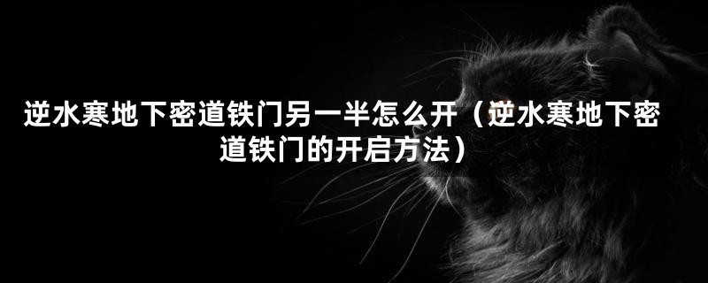 逆水寒地下密道铁门另一半怎么开(逆水寒地下密道铁门的开启方法)