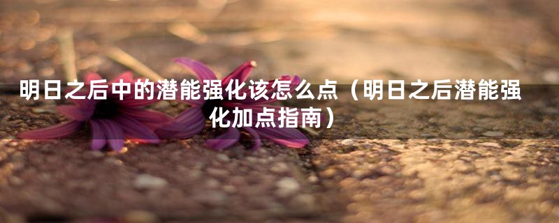 明日之后中的潜能强化该怎么点（明日之后潜能强化加点指南）