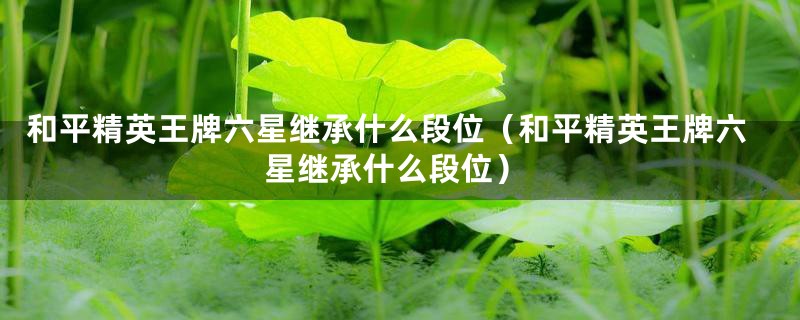 和平精英王牌六星继承什么段位(和平精英王牌六星继承什么段位)
