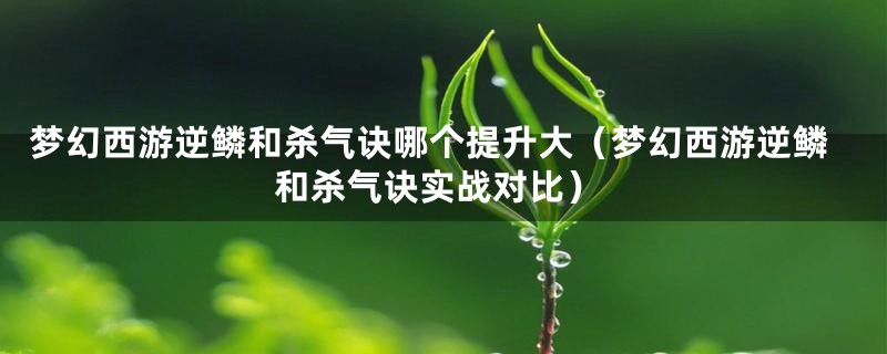 梦幻西游逆鳞和杀气诀哪个提升大（梦幻西游逆鳞和杀气诀实战对比）