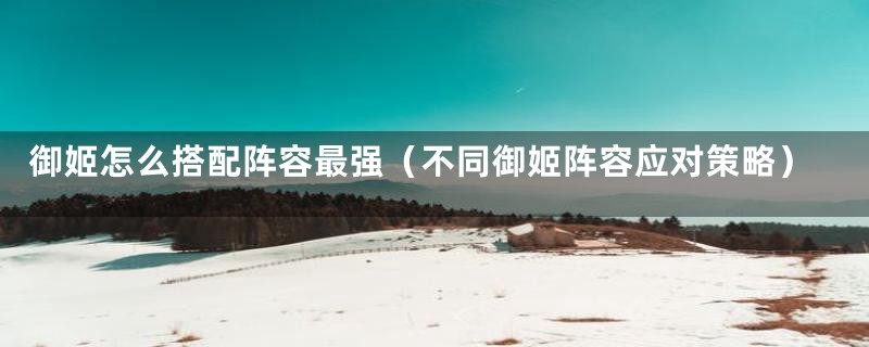 御姬怎么搭配阵容最强（不同御姬阵容应对策略）