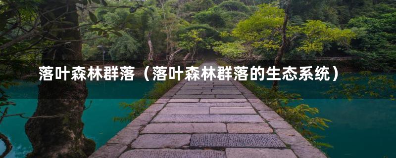 落叶森林群落(落叶森林群落的生态系统)