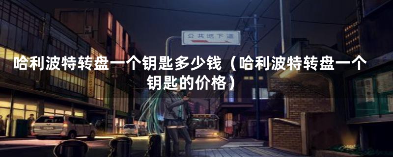 哈利波特转盘一个钥匙多少钱(哈利波特转盘一个钥匙的价格)