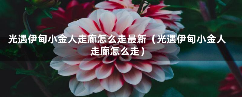 光遇伊甸小金人走廊怎么走最新(光遇伊甸小金人走廊怎么走)