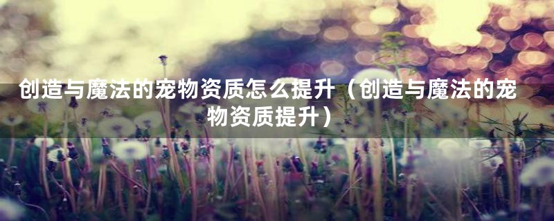 创造与魔法的宠物资质怎么提升（创造与魔法的宠物资质提升）