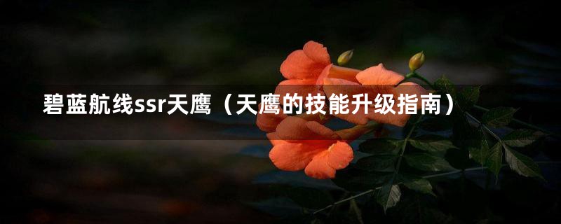 碧蓝航线ssr天鹰(天鹰的技能升级指南)