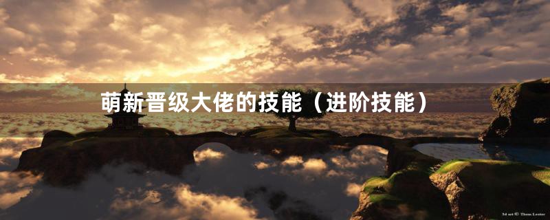 萌新晋级大佬的技能(进阶技能)