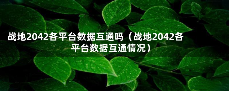 战地2042各平台数据互通吗（战地2042各平台数据互通情况）