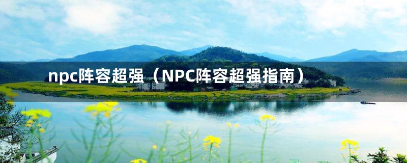npc阵容超强(NPC阵容超强指南)