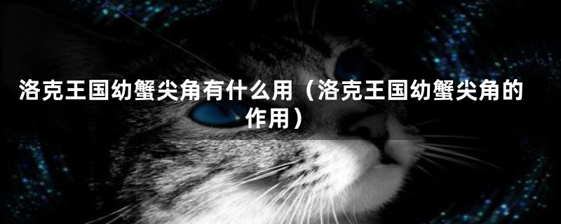 洛克王国幼蟹尖角有什么用（洛克王国幼蟹尖角的作用）
