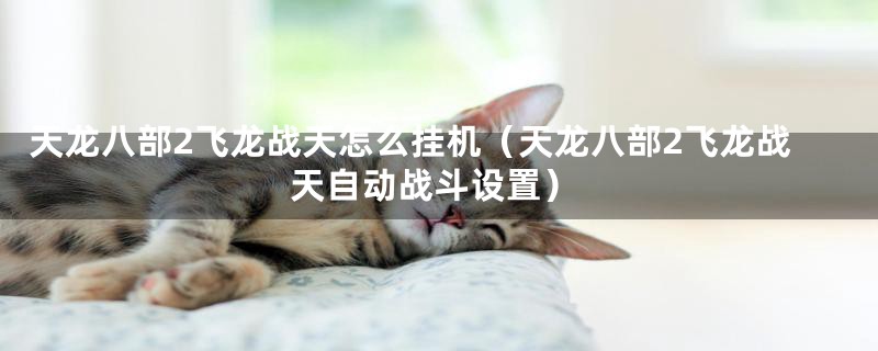 天龙八部2飞龙战天怎么挂机（天龙八部2飞龙战天自动战斗设置）