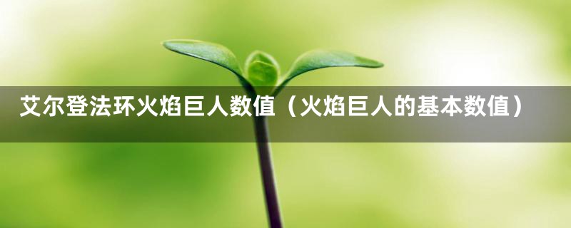 艾尔登法环火焰巨人数值(火焰巨人的基本数值)