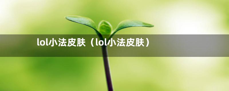 lol小法皮肤(lol小法皮肤)