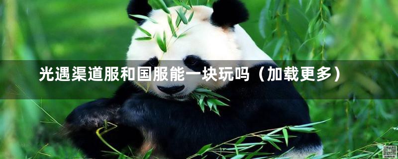 光遇渠道服和国服能一块玩吗(加载更多)