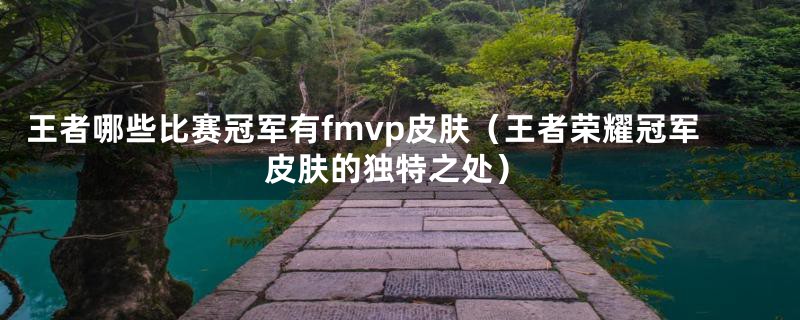 王者哪些比赛冠军有fmvp皮肤（王者荣耀冠军皮肤的独特之处）