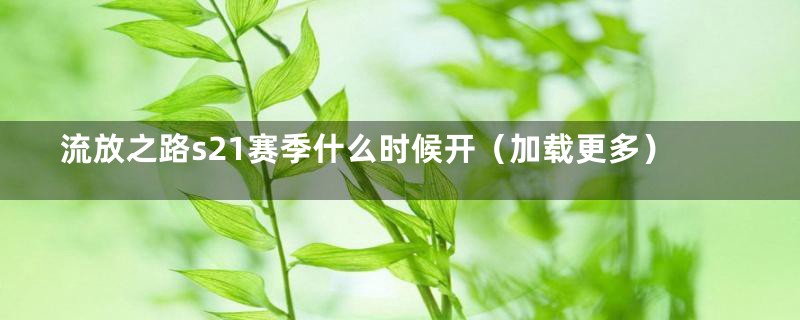 流放之路s21赛季什么时候开（加载更多）