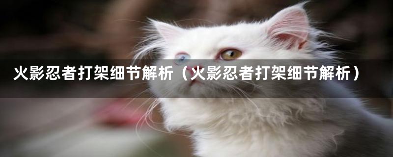 火影忍者打架细节解析(火影忍者打架细节解析)