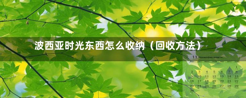 波西亚时光东西怎么收纳（回收方法）