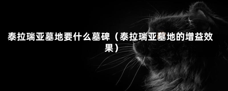 泰拉瑞亚墓地要什么墓碑(泰拉瑞亚墓地的增益效果)