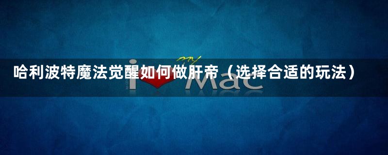 哈利波特魔法觉醒如何做肝帝（选择合适的玩法）