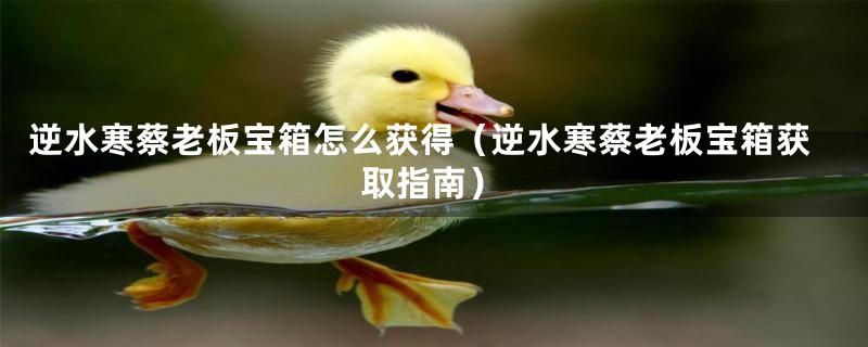 逆水寒蔡老板宝箱怎么获得(逆水寒蔡老板宝箱获取指南)