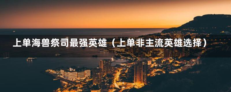 上单海兽祭司最强英雄(上单非主流英雄选择)