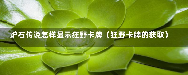 炉石传说怎样显示狂野卡牌(狂野卡牌的获取)