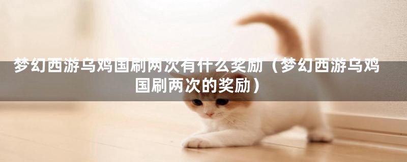 梦幻西游乌鸡国刷两次有什么奖励(梦幻西游乌鸡国刷两次的奖励)