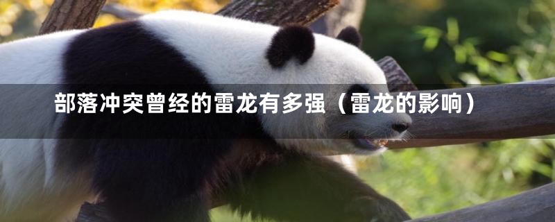 部落冲突曾经的雷龙有多强(雷龙的影响)