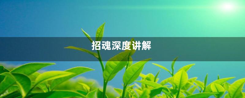 招魂深度讲解
