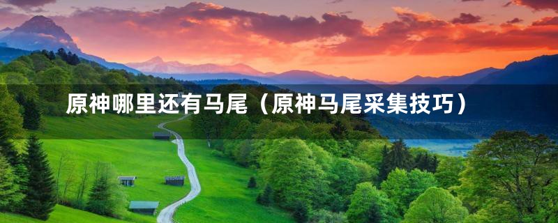 原神哪里还有马尾(原神马尾采集技巧)