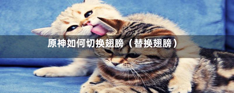 原神如何切换翅膀(替换翅膀)