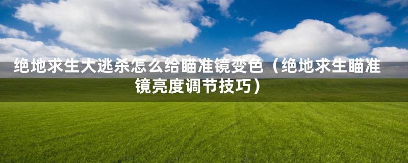 绝地求生大逃杀怎么给瞄准镜变色(绝地求生瞄准镜亮度调节技巧)