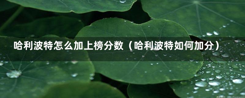 哈利波特怎么加上榜分数(哈利波特如何加分)