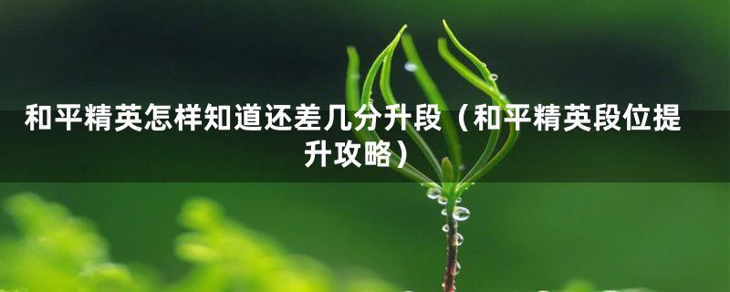 和平精英怎样知道还差几分升段(和平精英段位提升攻略)