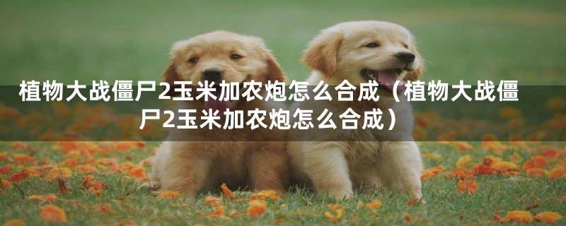 植物大战僵尸2玉米加农炮怎么合成(植物大战僵尸2玉米加农炮怎么合成)