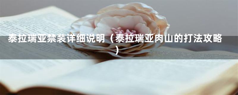 泰拉瑞亚禁装详细说明(泰拉瑞亚肉山的打法攻略)