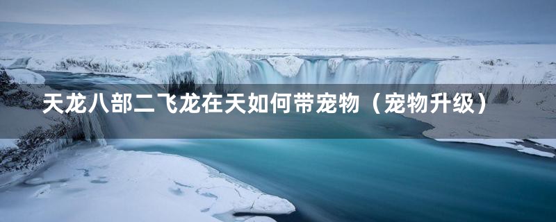 天龙八部二飞龙在天如何带宠物(宠物升级)