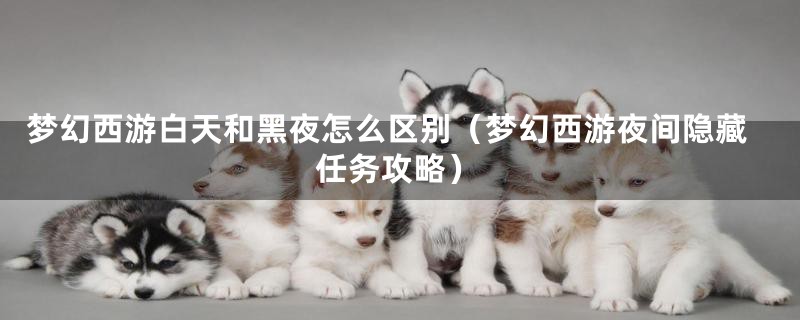 梦幻西游白天和黑夜怎么区别(梦幻西游夜间隐藏任务攻略)