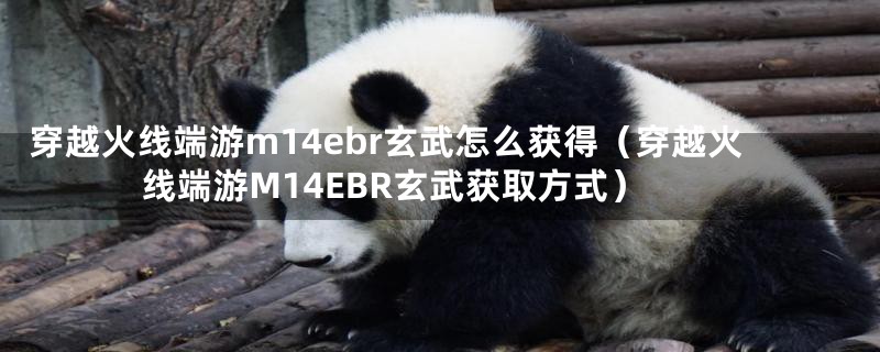穿越火线端游m14ebr玄武怎么获得（穿越火线端游M14EBR玄武获取方式）